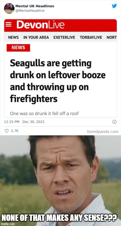 Just Firefighters? | NONE OF THAT MAKES ANY SENSE??? | image tagged in huh,headlines | made w/ Imgflip meme maker