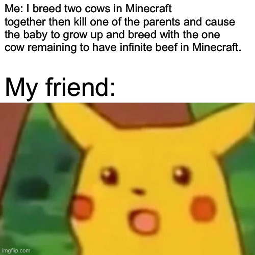 Does anyone else do this | Me: I breed two cows in Minecraft together then kill one of the parents and cause the baby to grow up and breed with the one cow remaining to have infinite beef in Minecraft. My friend: | image tagged in memes,surprised pikachu,minecraft | made w/ Imgflip meme maker
