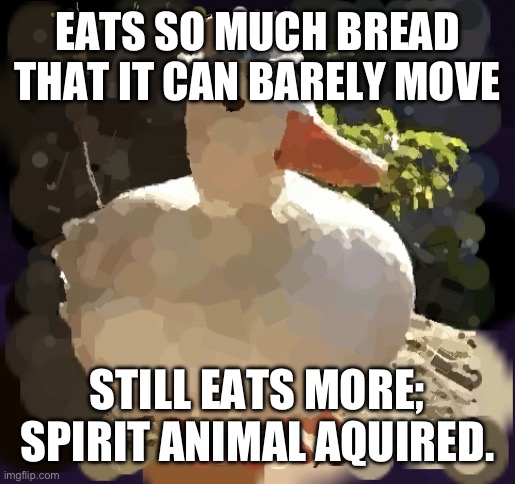 duck | EATS SO MUCH BREAD THAT IT CAN BARELY MOVE; STILL EATS MORE; SPIRIT ANIMAL AQUIRED. | image tagged in duck,food | made w/ Imgflip meme maker
