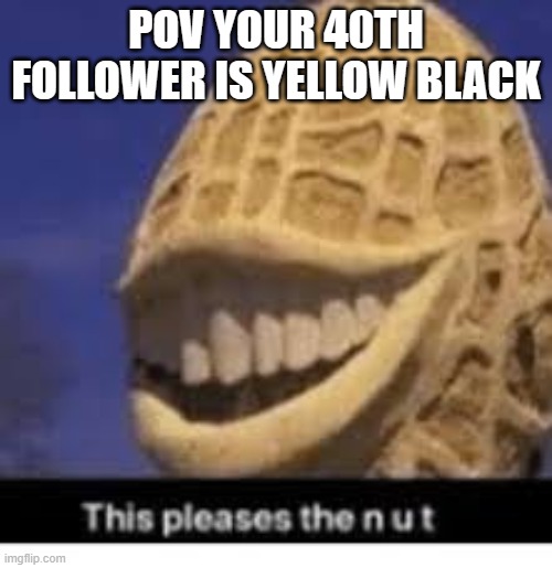 This pleases the nut | POV YOUR 40TH FOLLOWER IS YELLOW BLACK | image tagged in this pleases the nut | made w/ Imgflip meme maker