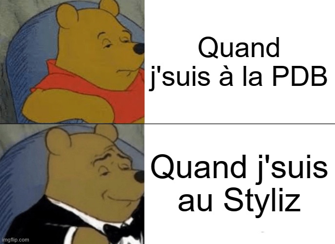 Tuxedo Winnie The Pooh Meme | Quand j'suis à la PDB; Quand j'suis au Styliz | image tagged in memes,tuxedo winnie the pooh | made w/ Imgflip meme maker