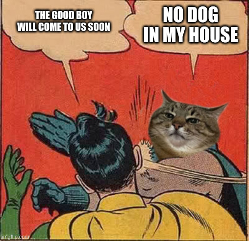 No good boy in my house | THE GOOD BOY WILL COME TO US SOON; NO DOG IN MY HOUSE | image tagged in stepanman slapping robin,dog,no,stepan cat,batman slapping robin,cat | made w/ Imgflip meme maker