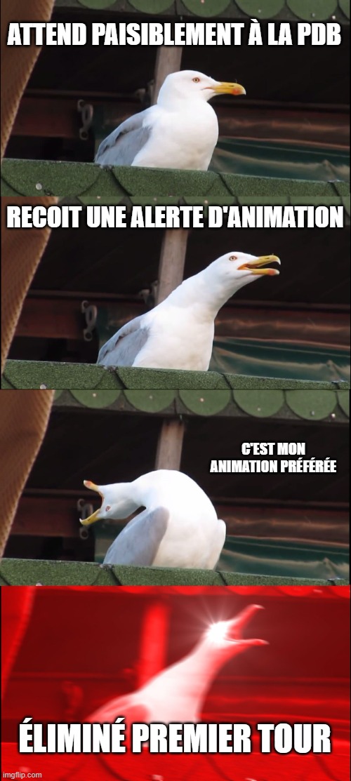 Inhaling Seagull Meme | ATTEND PAISIBLEMENT À LA PDB; RECOIT UNE ALERTE D'ANIMATION; C'EST MON ANIMATION PRÉFÉRÉE; ÉLIMINÉ PREMIER TOUR | image tagged in memes,inhaling seagull | made w/ Imgflip meme maker