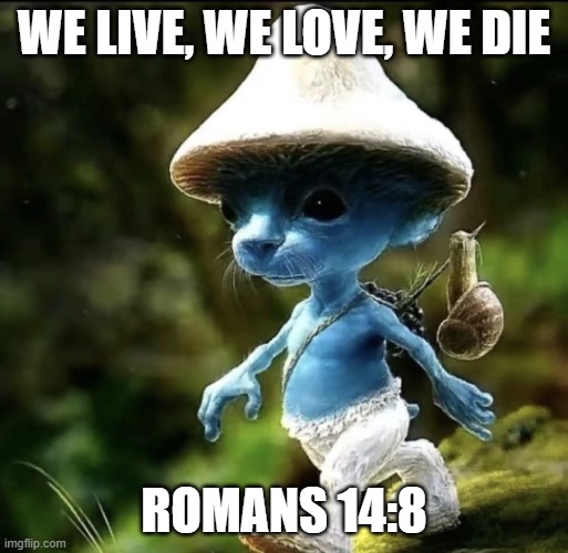 Romans 14:8 | WE LIVE, WE LOVE, WE DIE; ROMANS 14:8 | image tagged in blue smurf cat,romans,bible,we live we love we lie | made w/ Imgflip meme maker