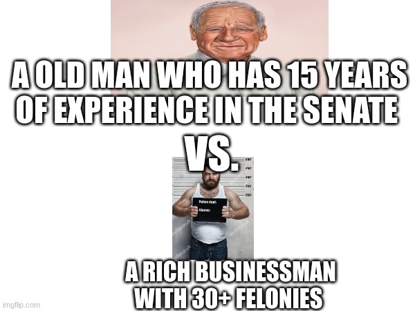 The election in a nutshell | A OLD MAN WHO HAS 15 YEARS OF EXPERIENCE IN THE SENATE; VS. A RICH BUSINESSMAN WITH 30+ FELONIES | image tagged in so true | made w/ Imgflip meme maker