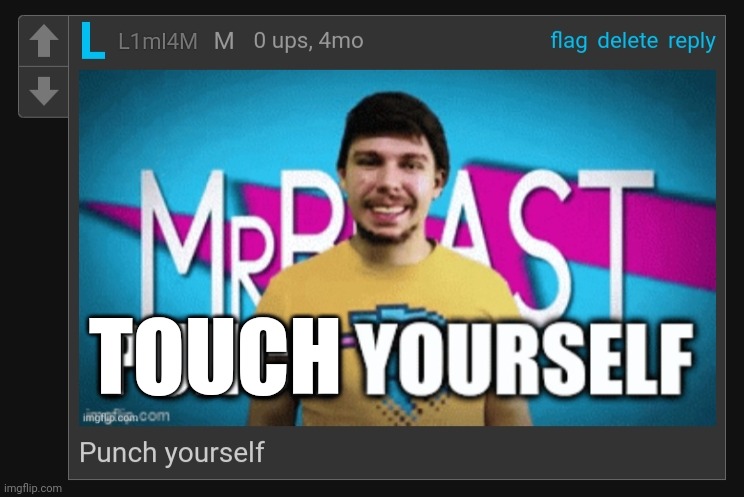 Punch yourself | TOUCH | image tagged in punch yourself | made w/ Imgflip meme maker