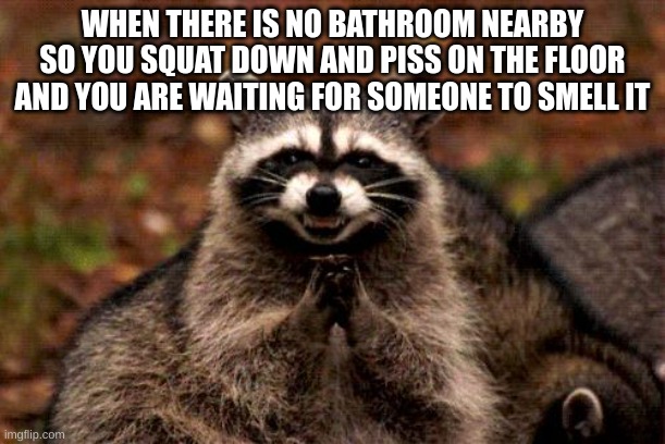 Offensive Memes | WHEN THERE IS NO BATHROOM NEARBY SO YOU SQUAT DOWN AND PISS ON THE FLOOR AND YOU ARE WAITING FOR SOMEONE TO SMELL IT | image tagged in memes,evil plotting raccoon | made w/ Imgflip meme maker