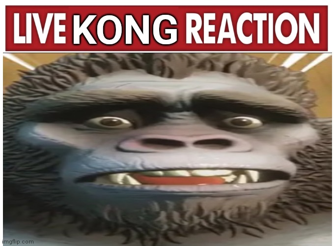 KONG | KONG | image tagged in live reaction | made w/ Imgflip meme maker