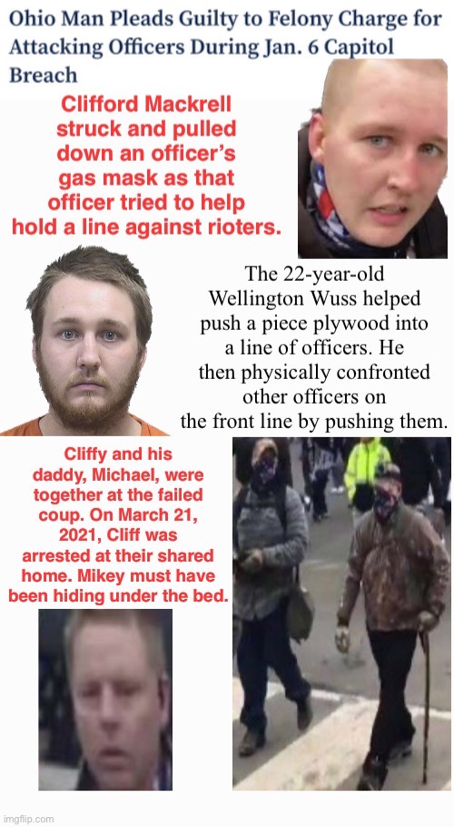 Holy Mackrell--Dad's Boy Pleads | image tagged in domestic terrorists,assault,daddy issues,tuff boy when in crowd,treason | made w/ Imgflip meme maker