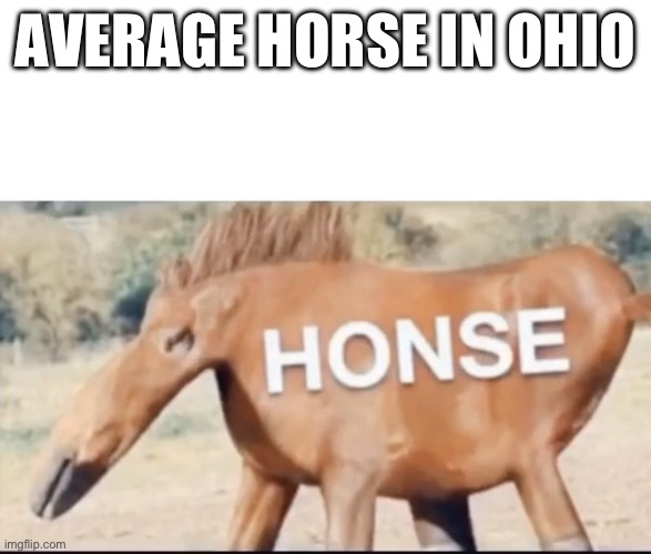 honse | AVERAGE HORSE IN OHIO | image tagged in honse | made w/ Imgflip meme maker