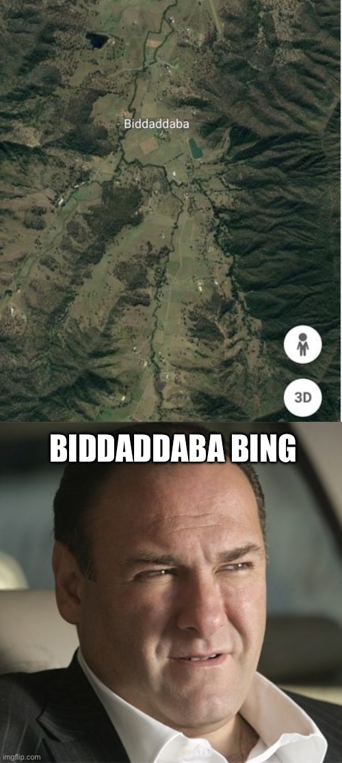 Biddaddaba bing | BIDDADDABA BING | image tagged in tony soprano marone,google,google maps | made w/ Imgflip meme maker