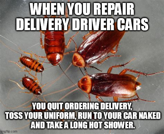 You can't unsee some things. | WHEN YOU REPAIR DELIVERY DRIVER CARS; YOU QUIT ORDERING DELIVERY,
 TOSS YOUR UNIFORM, RUN TO YOUR CAR NAKED
 AND TAKE A LONG HOT SHOWER. | image tagged in pizza delivery,cockroaches,creepy | made w/ Imgflip meme maker