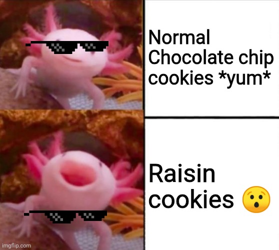 axolotl drake | Normal Chocolate chip cookies *yum*; Raisin cookies 😯 | image tagged in axolotl drake | made w/ Imgflip meme maker