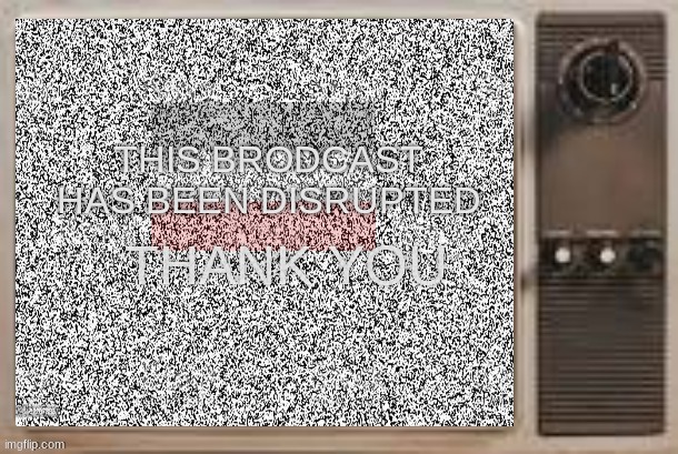 error | THIS BRODCAST HAS BEEN DISRUPTED; THANK YOU | image tagged in tv static | made w/ Imgflip meme maker