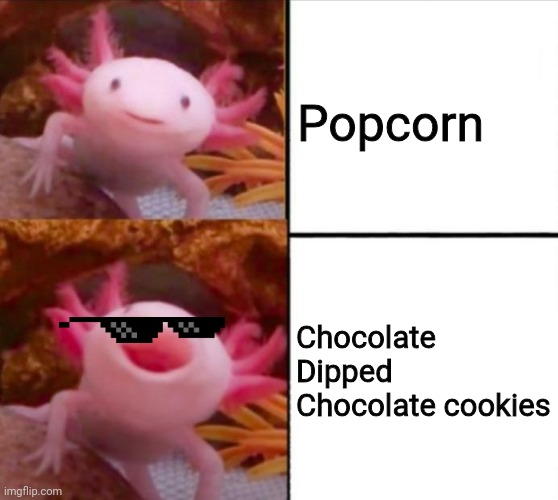 axolotl drake | Popcorn; Chocolate Dipped Chocolate cookies | image tagged in axolotl drake | made w/ Imgflip meme maker