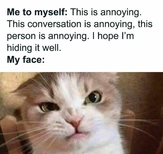 image tagged in memes,funny | made w/ Imgflip meme maker