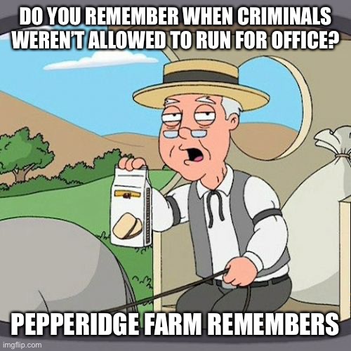 Pepperidge Farm Remembers Meme | DO YOU REMEMBER WHEN CRIMINALS WEREN’T ALLOWED TO RUN FOR OFFICE? PEPPERIDGE FARM REMEMBERS | image tagged in memes,pepperidge farm remembers | made w/ Imgflip meme maker