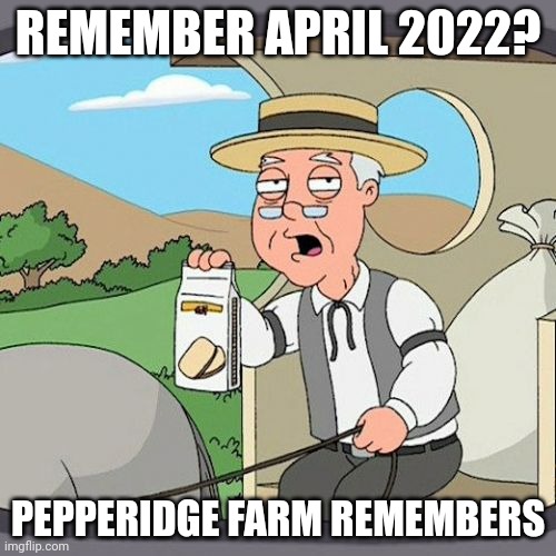 The early days, when it was just dudes posting stupid stuff. Was I the one to start ocs with Mr. Void? | REMEMBER APRIL 2022? PEPPERIDGE FARM REMEMBERS | image tagged in memes,pepperidge farm remembers | made w/ Imgflip meme maker