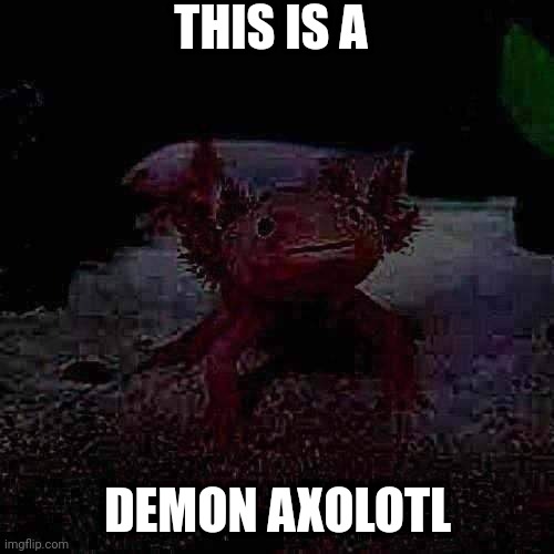 AxolotlDude | THIS IS A; DEMON AXOLOTL | image tagged in axolotldude | made w/ Imgflip meme maker