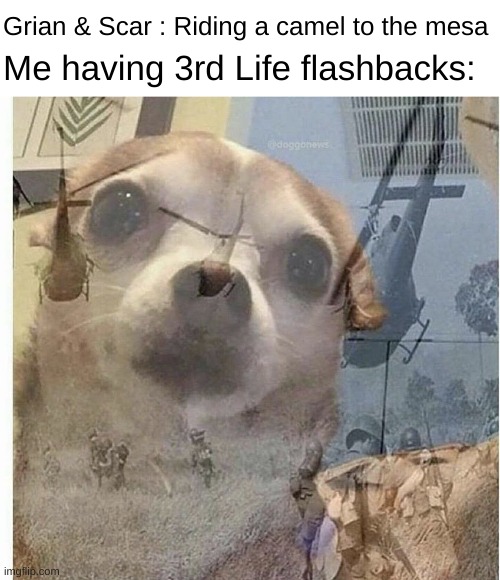 Anyone else? | Grian & Scar : Riding a camel to the mesa; Me having 3rd Life flashbacks: | image tagged in ptsd chihuahua,life series,hermitcraft,3rd life | made w/ Imgflip meme maker