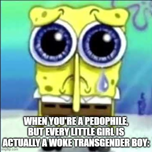 discord moment | WHEN YOU'RE A PEDOPHILE, BUT EVERY LITTLE GIRL IS ACTUALLY A WOKE TRANSGENDER BOY: | image tagged in sad spongebob | made w/ Imgflip meme maker
