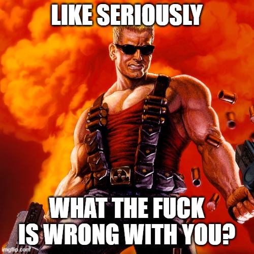 Duke Nukem | LIKE SERIOUSLY WHAT THE FUCK IS WRONG WITH YOU? | image tagged in duke nukem | made w/ Imgflip meme maker