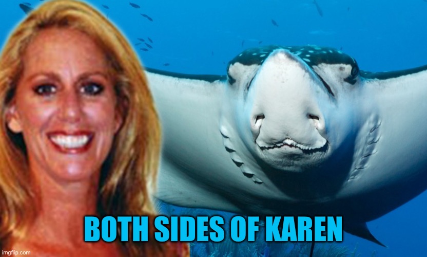 BOTH SIDES OF KAREN | image tagged in funny,memes,animals,karen,politics,so true memes | made w/ Imgflip meme maker