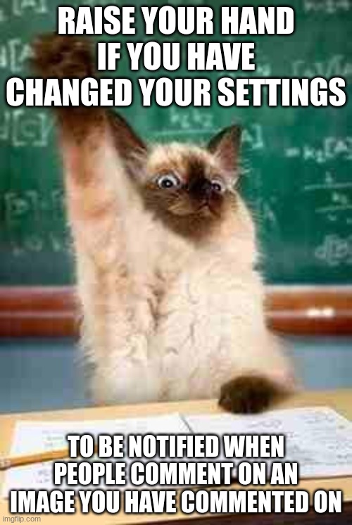 Raise your hand if you know what a taco is!  | RAISE YOUR HAND IF YOU HAVE CHANGED YOUR SETTINGS; TO BE NOTIFIED WHEN PEOPLE COMMENT ON AN IMAGE YOU HAVE COMMENTED ON | image tagged in raise your hand if you know what a taco is | made w/ Imgflip meme maker