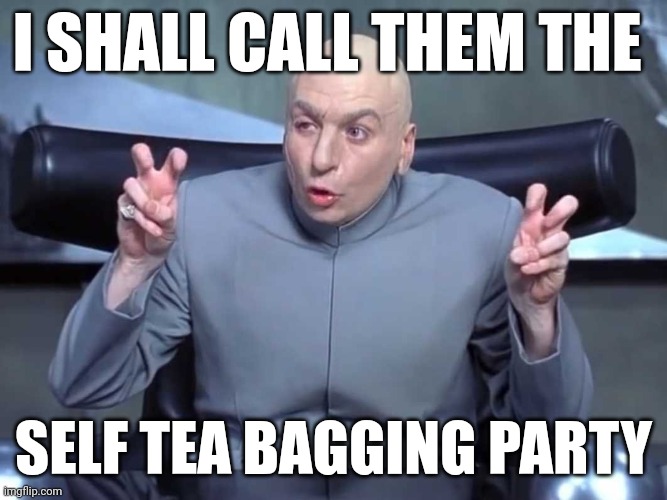 Tea bagging | I SHALL CALL THEM THE; SELF TEA BAGGING PARTY | image tagged in dr evil quotes | made w/ Imgflip meme maker