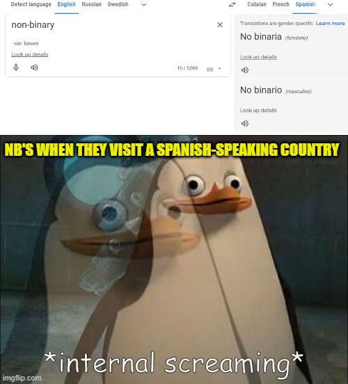 NB'S WHEN THEY VISIT A SPANISH-SPEAKING COUNTRY | image tagged in private internal screaming,memes,non binary,spanish,language,google translate | made w/ Imgflip meme maker