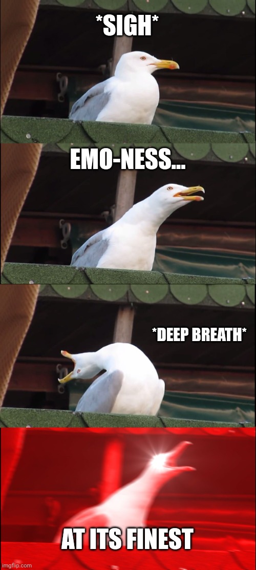 Inhaling Seagull Meme | *SIGH* EMO-NESS... *DEEP BREATH* AT ITS FINEST | image tagged in memes,inhaling seagull | made w/ Imgflip meme maker