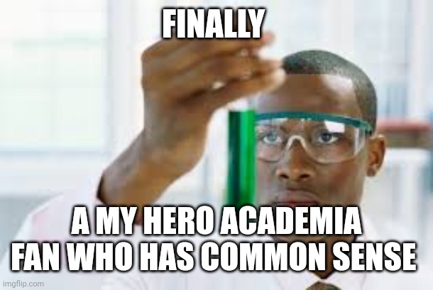 FINALLY | FINALLY A MY HERO ACADEMIA FAN WHO HAS COMMON SENSE | image tagged in finally | made w/ Imgflip meme maker