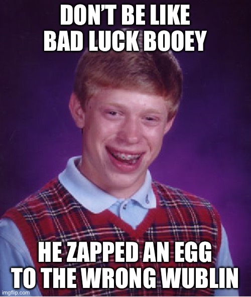 Bad Luck Brian Meme | DON’T BE LIKE BAD LUCK BOOEY HE ZAPPED AN EGG TO THE WRONG WUBLIN | image tagged in memes,bad luck brian | made w/ Imgflip meme maker