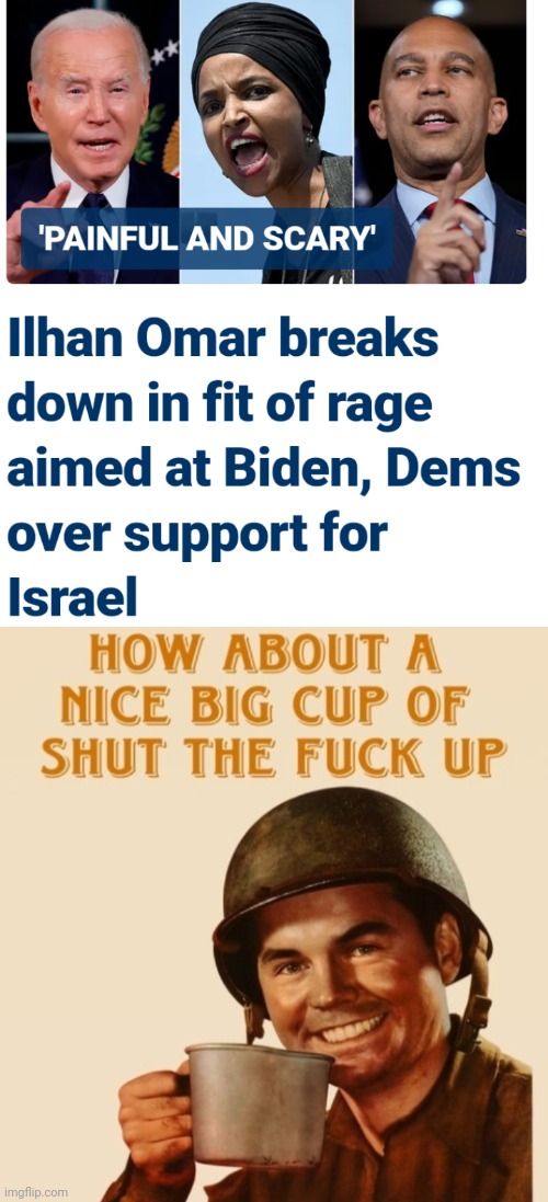 She's No Congresswoman | image tagged in liberals,leftists,democrats,hamas | made w/ Imgflip meme maker