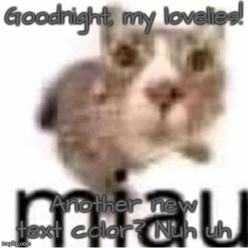 miau | Goodnight, my lovelies! Another new text color? Nuh uh | image tagged in miau | made w/ Imgflip meme maker