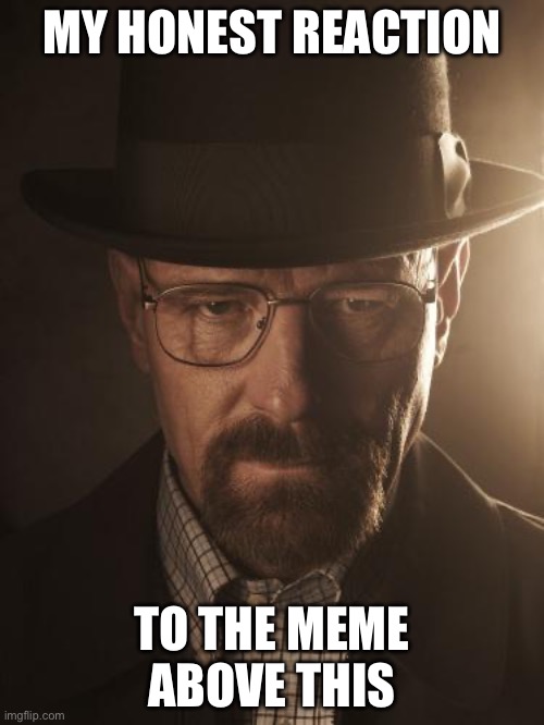 Walter White | MY HONEST REACTION; TO THE MEME ABOVE THIS | image tagged in walter white | made w/ Imgflip meme maker
