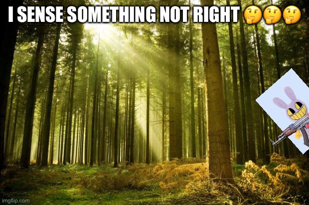 goofy title | I SENSE SOMETHING NOT RIGHT 🤔🤔🤔 | image tagged in sunlit forest | made w/ Imgflip meme maker