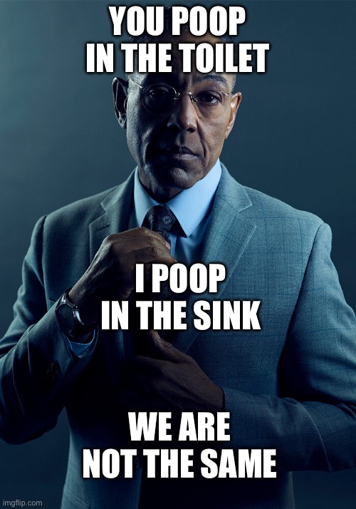 (This is a joke) | YOU POOP IN THE TOILET; I POOP IN THE SINK; WE ARE NOT THE SAME | image tagged in gus fring we are not the same | made w/ Imgflip meme maker