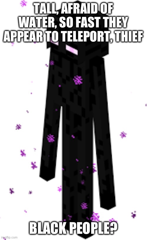 Endermen or black? | TALL, AFRAID OF WATER, SO FAST THEY APPEAR TO TELEPORT, THIEF; BLACK PEOPLE? | image tagged in minecraft,black,enderman | made w/ Imgflip meme maker
