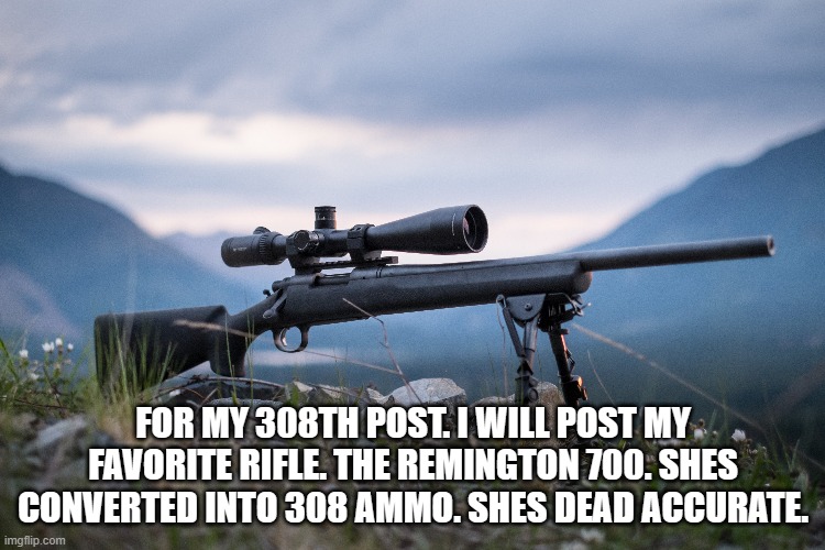 FOR MY 308TH POST. I WILL POST MY FAVORITE RIFLE. THE REMINGTON 700. SHES CONVERTED INTO 308 AMMO. SHES DEAD ACCURATE. | image tagged in gun,rifle,remington,308 | made w/ Imgflip meme maker