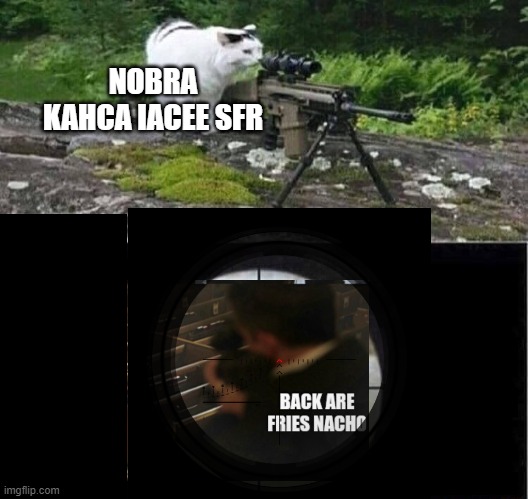 Sniper cat | NOBRA KAHCA IACEE SFR | image tagged in sniper cat | made w/ Imgflip meme maker