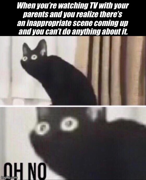 It Is One Of The Worst Feelings | When you’re watching TV with your 
parents and you realize there’s 
an inappropriate scene coming up 
and you can’t do anything about it. | image tagged in oh no cat,tv,tv shows,parents,scared kid | made w/ Imgflip meme maker