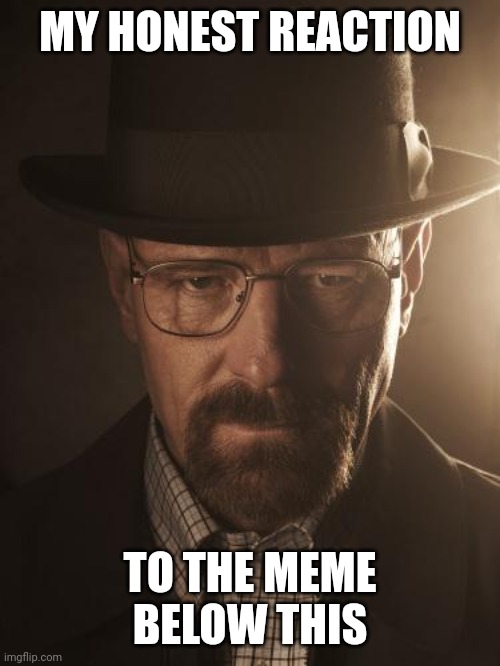 Walter White | MY HONEST REACTION; TO THE MEME BELOW THIS | image tagged in walter white | made w/ Imgflip meme maker