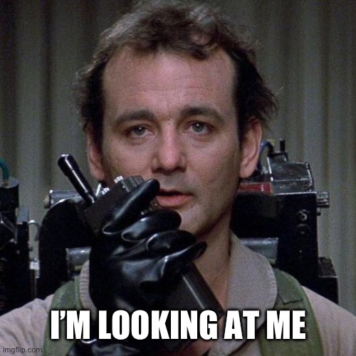 Ghostbusters  | I’M LOOKING AT ME | image tagged in ghostbusters | made w/ Imgflip meme maker