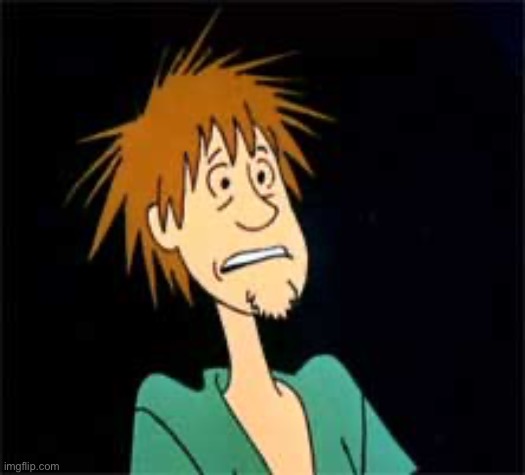 Shaggy - Zoiks | image tagged in shaggy - zoiks | made w/ Imgflip meme maker