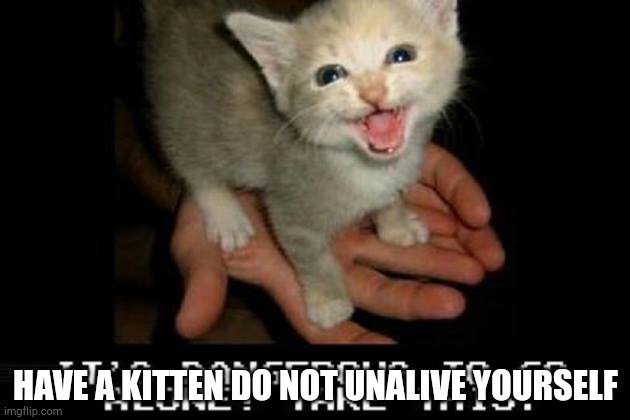 It's dangerous to go alone! Take this. | HAVE A KITTEN DO NOT UNALIVE YOURSELF | image tagged in it's dangerous to go alone take this | made w/ Imgflip meme maker