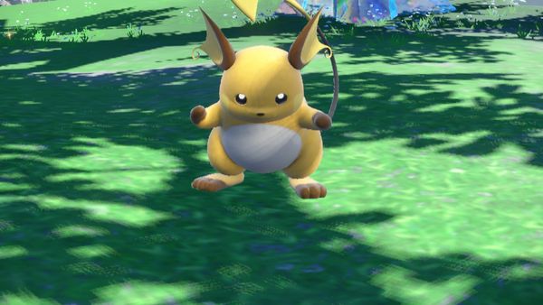 High Quality raichu thick Blank Meme Template