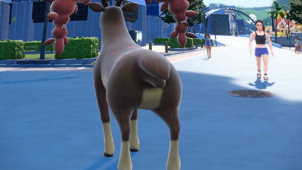 sawsbuck butt Blank Meme Template