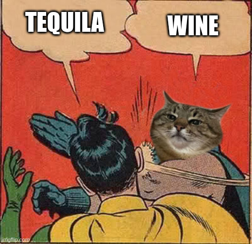 Tequila vs Wine | TEQUILA; WINE | image tagged in stepanman slapping robin,tequila,wine,stepan cat,alcohol,cat | made w/ Imgflip meme maker