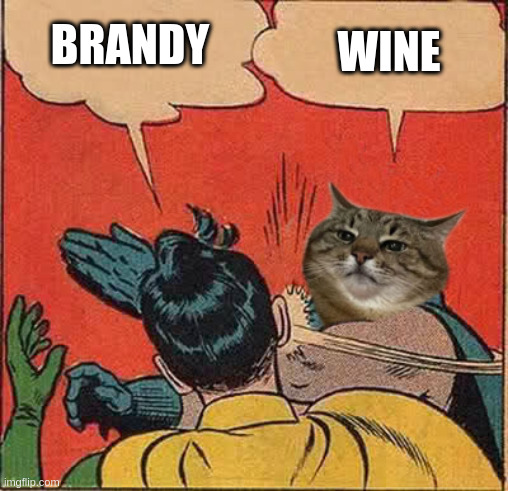 Brandy vs Wine | BRANDY; WINE | image tagged in stepanman slapping robin,brandy,wine,stepan cat,alcohol,cat | made w/ Imgflip meme maker